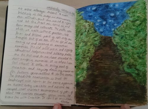 Tracey Wiffen's journal